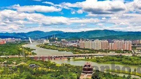九游app账号怎么清除-如何清除九游APP账号信息